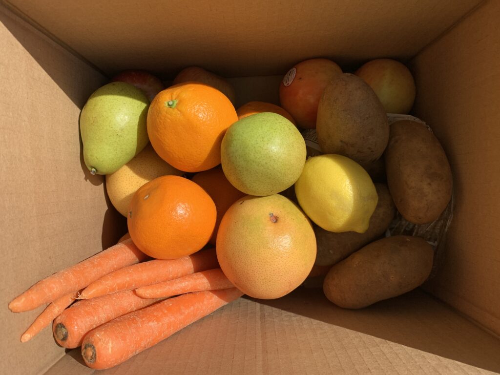 pears, oranges, one grapefruit, carrots, and potatoes glowing in the sunlight