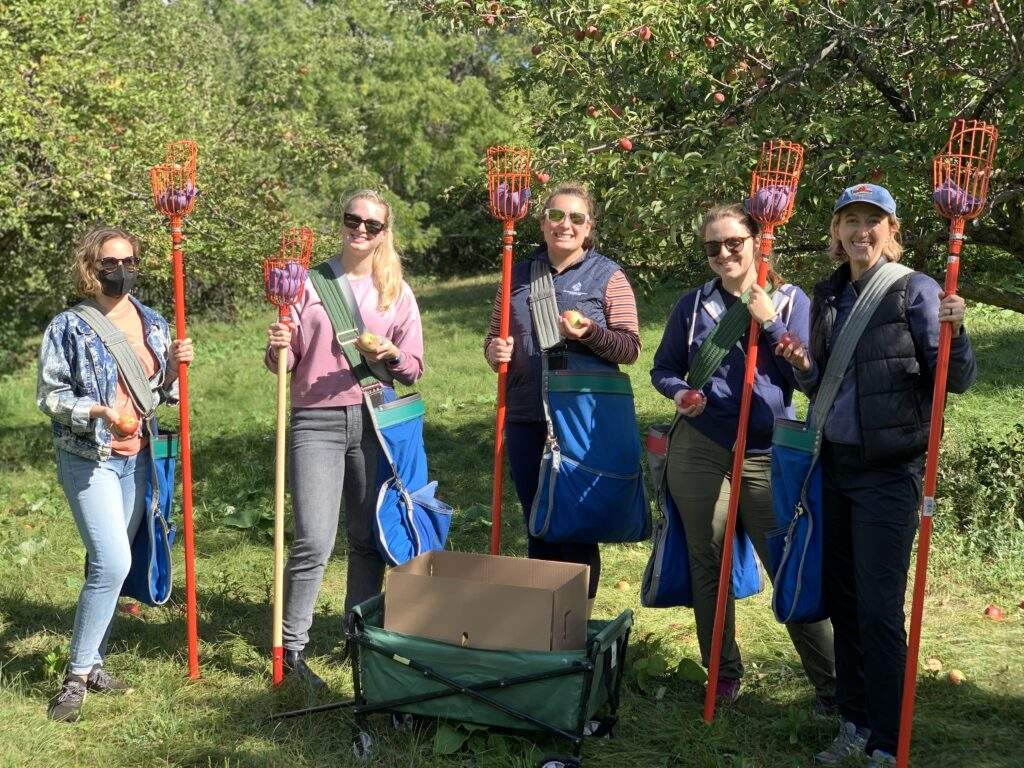 five people standing in a green orchard holding apple gleaning tools.