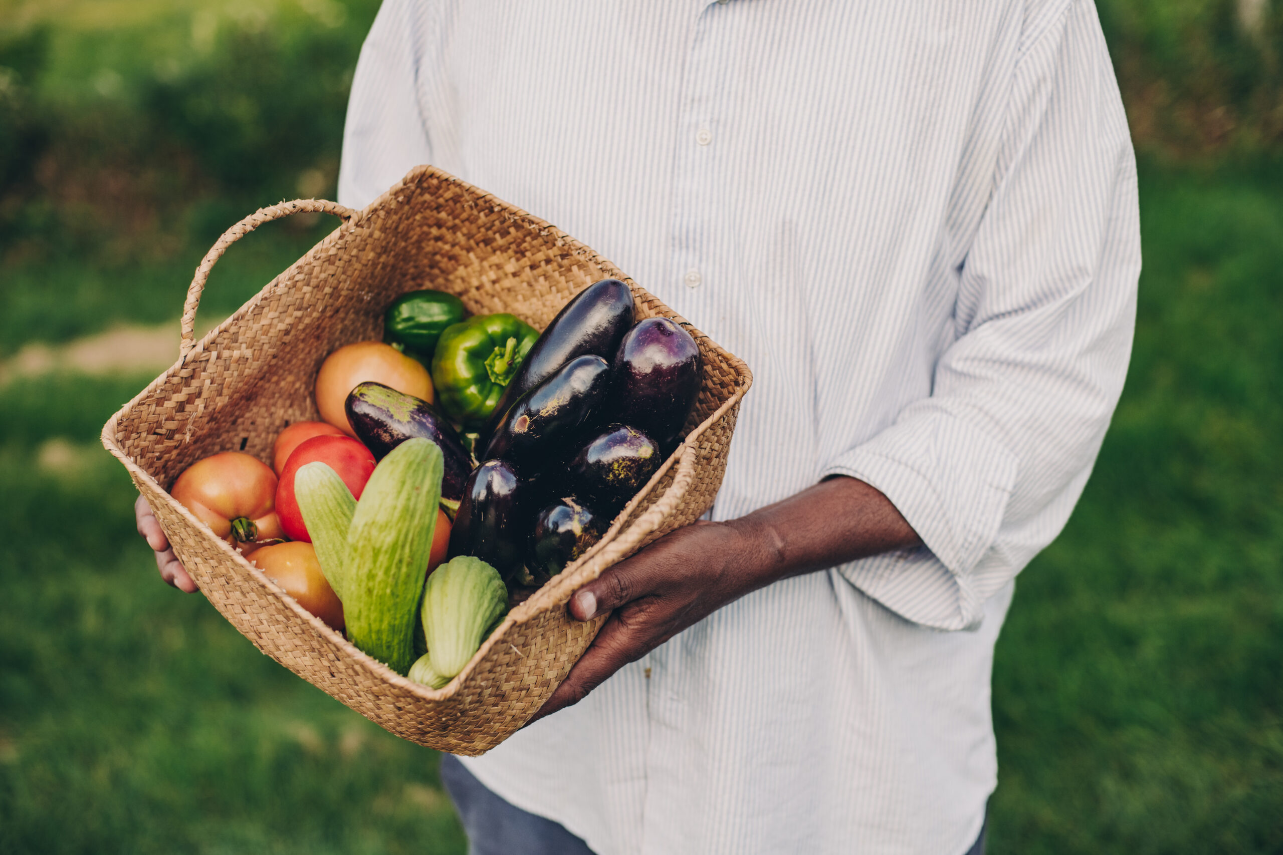 Someone holding a basket full of produce, including cucumbers, eggplants, peppers, and onions.