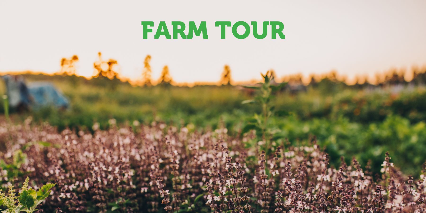 Big River Farms Tour at Marine on St. Croix