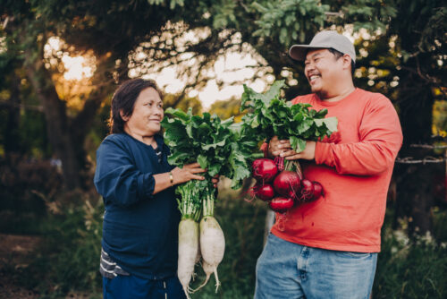 Image for How A Mother and Son Built Their Sustainable Vegetable Farm