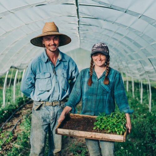 Image for Staff Farm: StrongHeart Farms