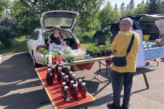 Affordable fresh food market set up outside.