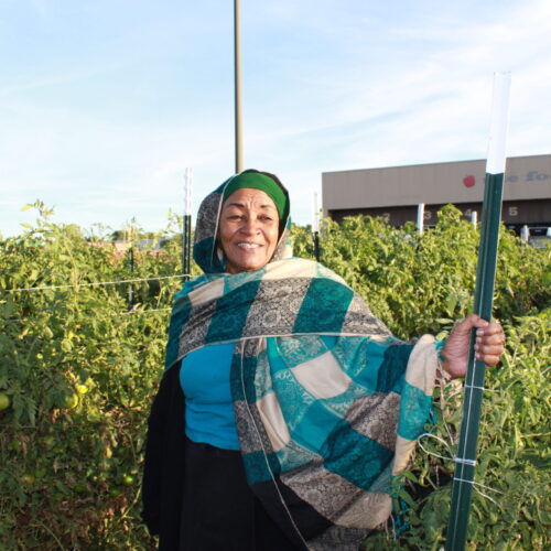 Image for Sudanese Farming Group