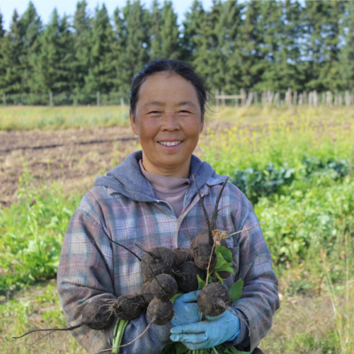 Image for Staff Farm: Mhonpaj’s Garden