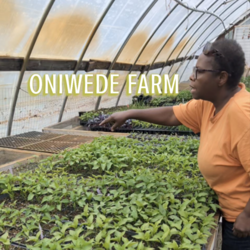 Image for Oniwede Farm