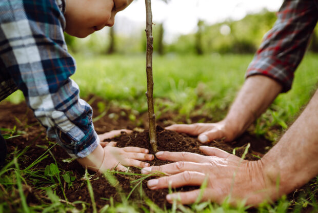 Planting a tree. Plan your legacy gift.