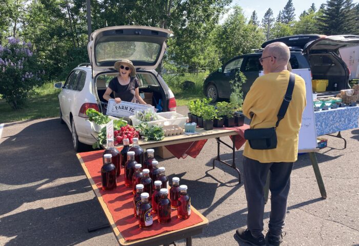 Grand Marais Farmers Market, Market Bucks Program