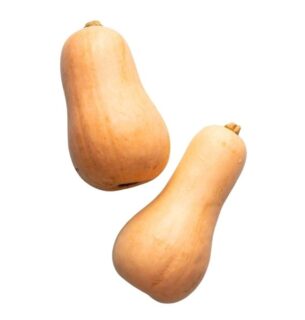 Local Butternut Squash