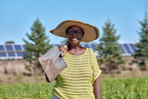 Image for The Sahan Journal – Big Lake Agrivoltaics Project Shows Promise of Mixing Farming, Solar Power