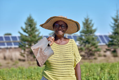 Image for The Sahan Journal – Big Lake Agrivoltaics Project Shows Promise of Mixing Farming, Solar Power
