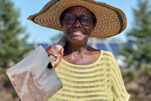 Image for How Our AgriSolar Farm Is Expanding Land Access to Fight Hunger