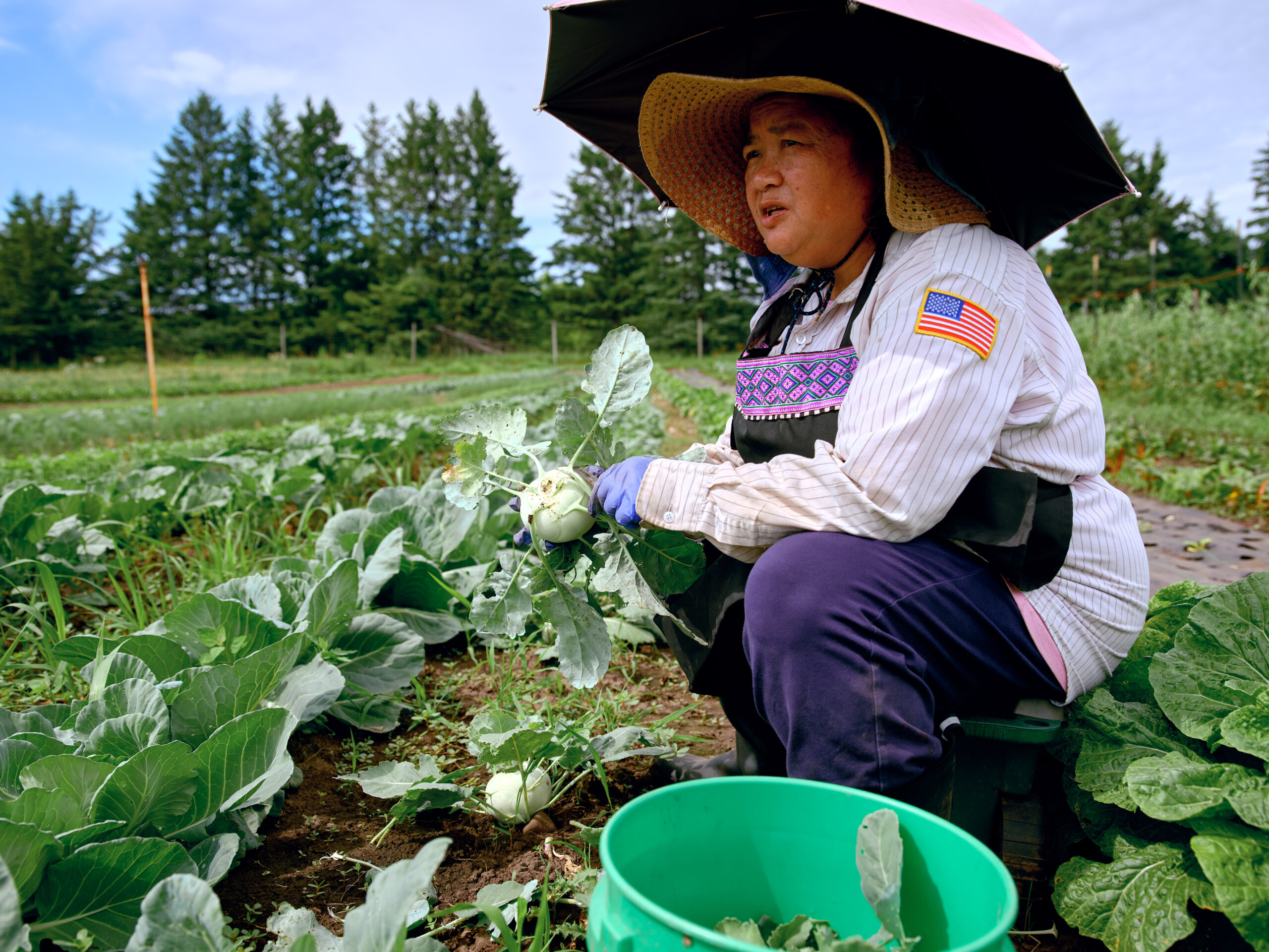 A farmer tends to crops at Big River Farms