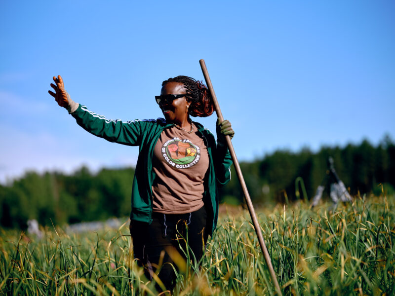 A farmer gestures to her field of garlic at Big River Farms