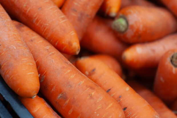 Closer up picture of carrots at food shelf.