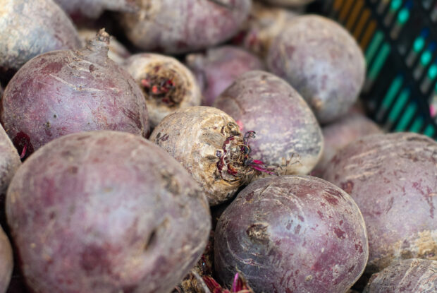 Close up picture of purple yam at food shelf.