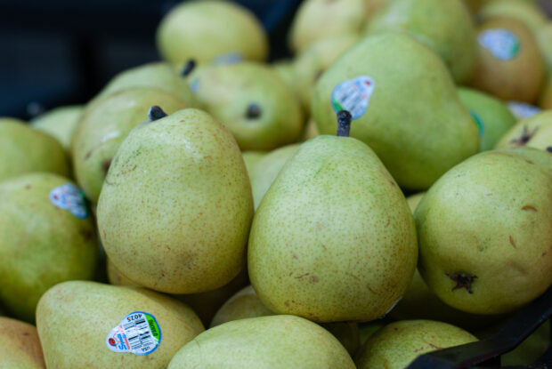 Close up picture of pears at a food shelf.