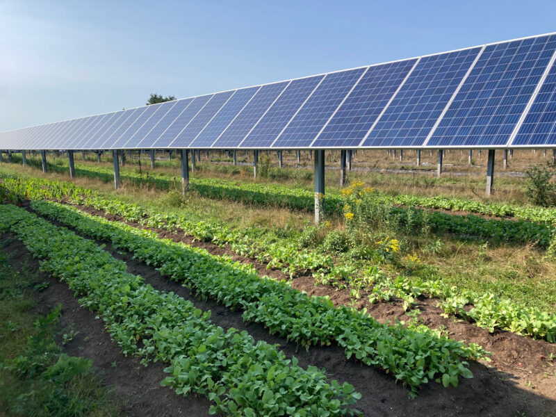 Agrisolar farm