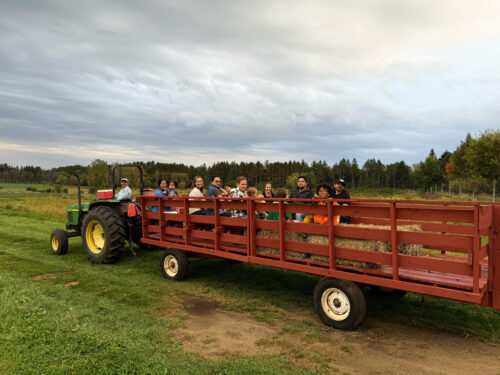 Harvest party. People riding on farm tractor ride.